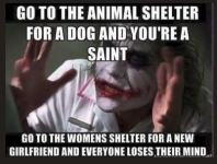 1778264101417.png