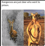 1778421270638.png