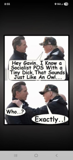1778440092219.png