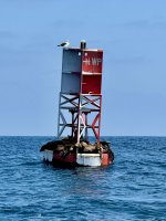 IMG_0648.jpeg