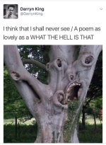 1778460952650.png