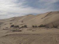 Dunes 3354841033.jpg