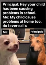 1778499088240.png