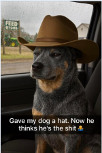 1778499894052.png