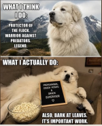 1778538654975.png