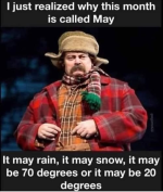 1778594481200.png