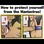 1778594679045.png