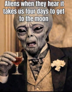 1778594777743.png