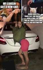 1778681277918.png