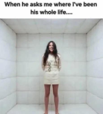 1778681325369.png