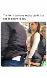 1778771032445.png