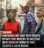 1778800517897.png