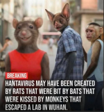 1778838955007.png