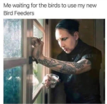 1778851913524.png 1778851913524.png
