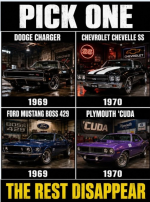 1778852026662.png