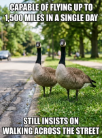 1778853335706.png 1778853335706.png