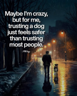 1778854805578.png