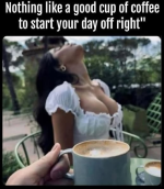 1778855216073.png