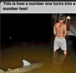 1778935567739.png