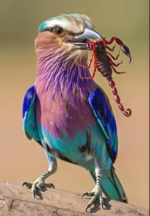 1779027272401.png