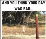 1779028135858.png
