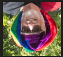 1779036943446.png
