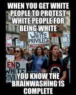 1779113284332.png