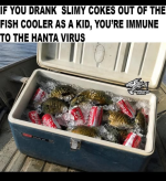 1779113917288.png