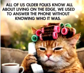 1779114206003.png