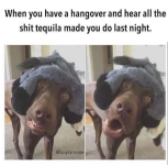 1779114564042.png