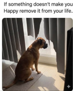1779198103514.png