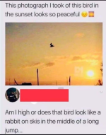 1779199245064.png