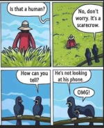 1779222502756.png