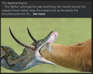 1779398252671.png