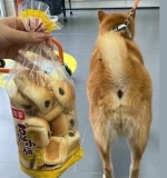 1779403718235.png