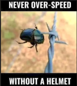 1779544678056.png