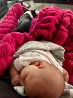 IMG_0743.jpeg