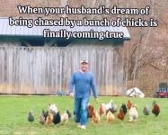 1779634468145.png