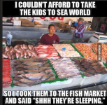 1779827808061.png