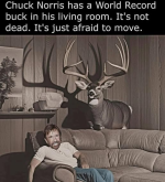 1779900423801.png