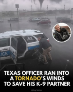 1779969054943.png