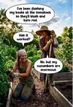 1779971742789.png