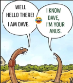 1779984546212.png