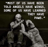 1780061593183.png