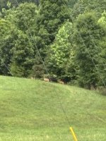 IMG_5557.jpeg