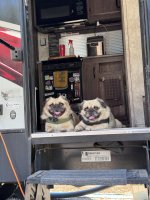 IMG_0669.jpeg IMG_0669.jpeg