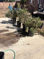 IMG_3695.jpeg