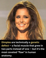 1780258517470.png