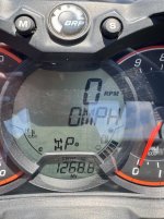IMG_0808.jpeg