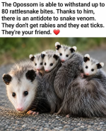 1780322401674.png